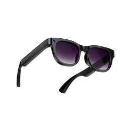 AI Smart Sunglasses with Assistance AI Smart Sunglasses with Assistance